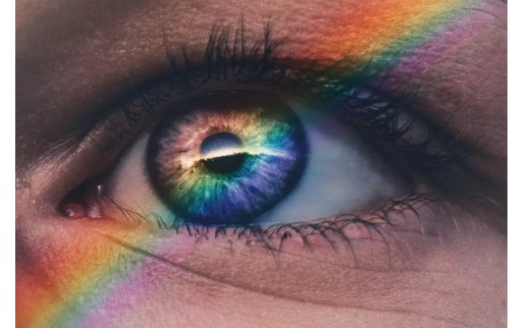 Magic Mushrooms May Induce Long-Lasting Improvement in Color Blindness