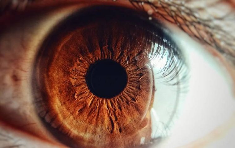 Ophthalmologic Manifestations of Acute Leukemia Are Diverse and Detectable