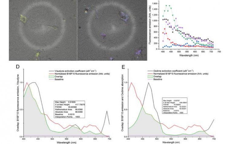 Researchers Develop Novel Phototherapy Technique to Treat Ocular Melanoma