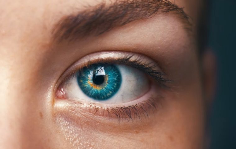 Molecular Age of the Eye