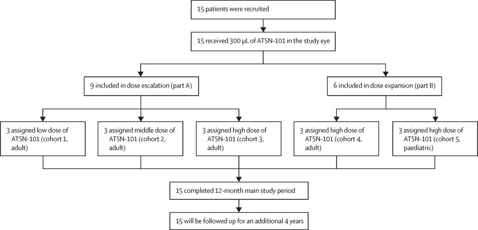 Phase I/II trial design table of ATSN-101