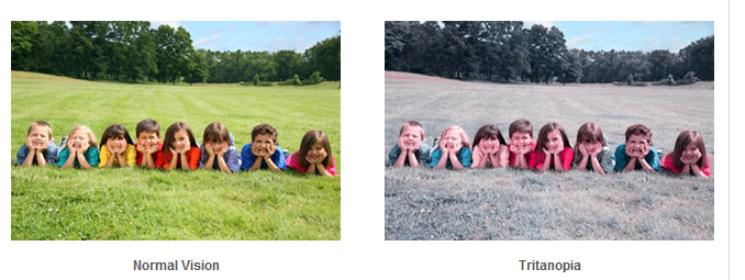 picture showing normal vision vs tritanopia